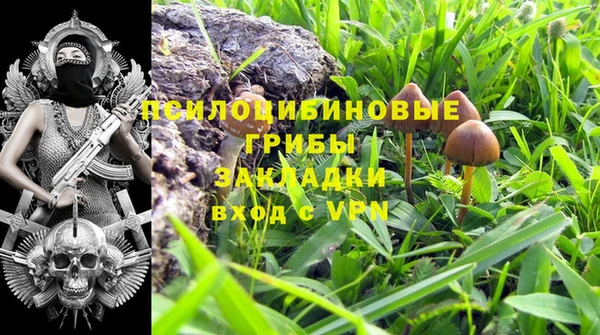 метадон Алексеевка