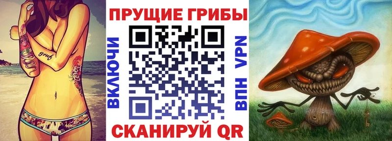 МЕГА маркетплейс  где купить наркотик  Сясьстрой  Псилоцибиновые грибы Psilocybe 