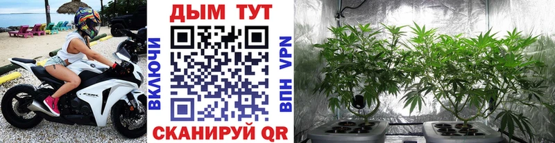 Каннабис White Widow  KRAKEN сайт  Сясьстрой 